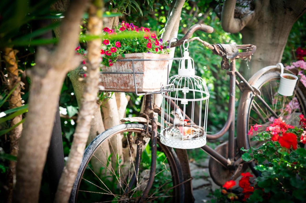 B&B Due Sorelle Sirolo Dış mekan fotoğraf